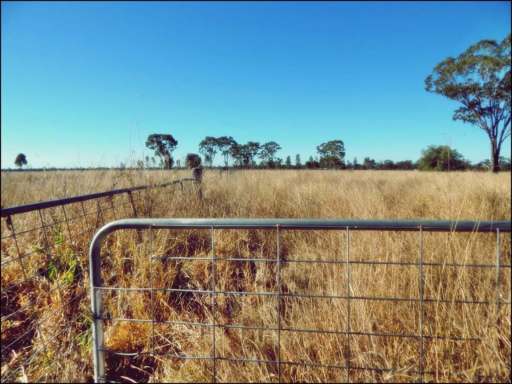 Rodney Road, MILLMERRAN For Sale by Farmbuy.com - image 15