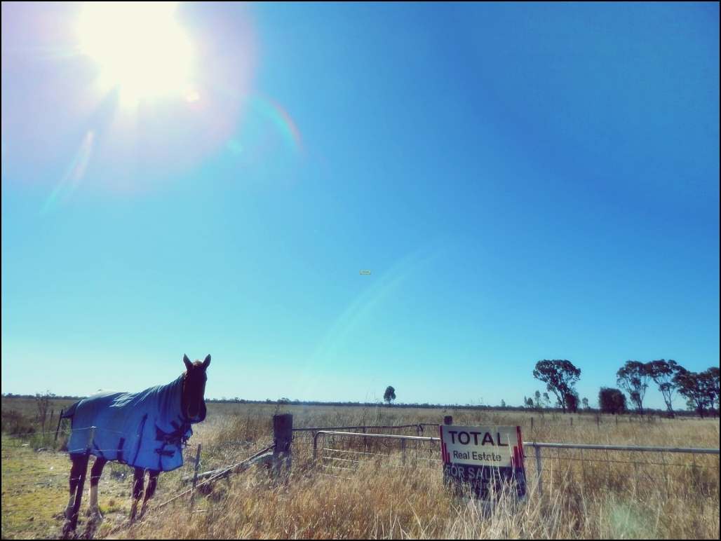 Rodney Road, MILLMERRAN For Sale by Farmbuy.com - image 10