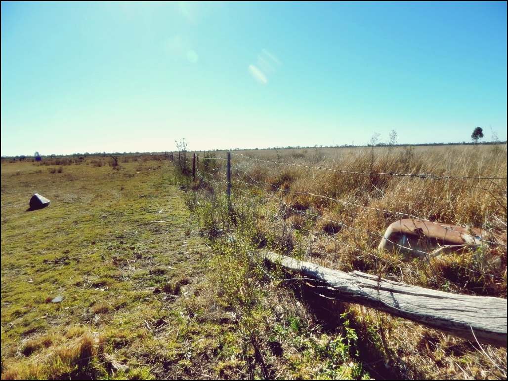 Rodney Road, MILLMERRAN For Sale by Farmbuy.com - image 17