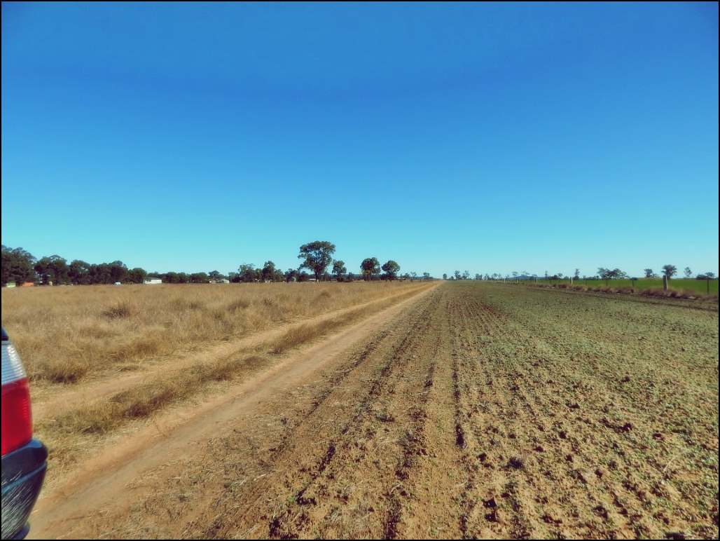 Rodney Road, MILLMERRAN For Sale by Farmbuy.com - image 8