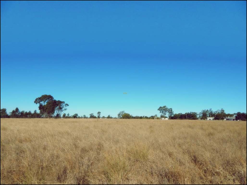 Rodney Road, MILLMERRAN For Sale by Farmbuy.com - image 4