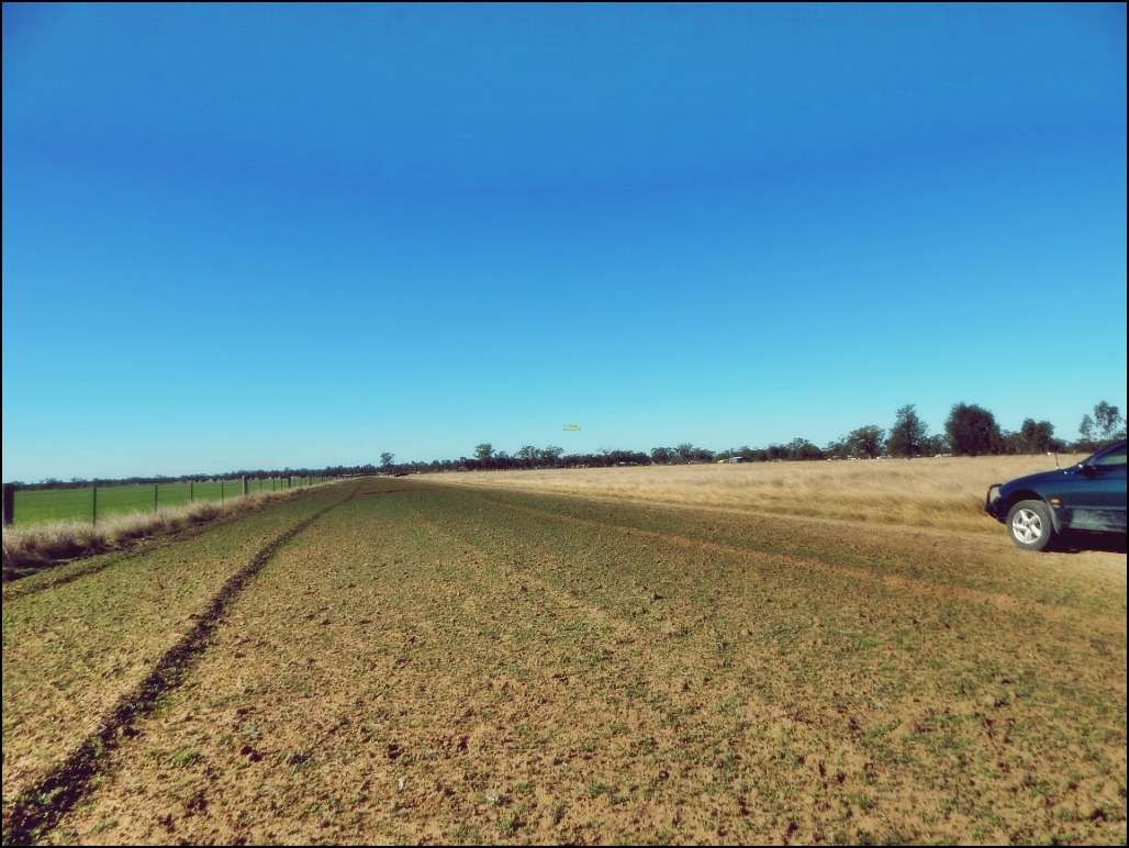 Rodney Road, MILLMERRAN For Sale by Farmbuy.com - image 2