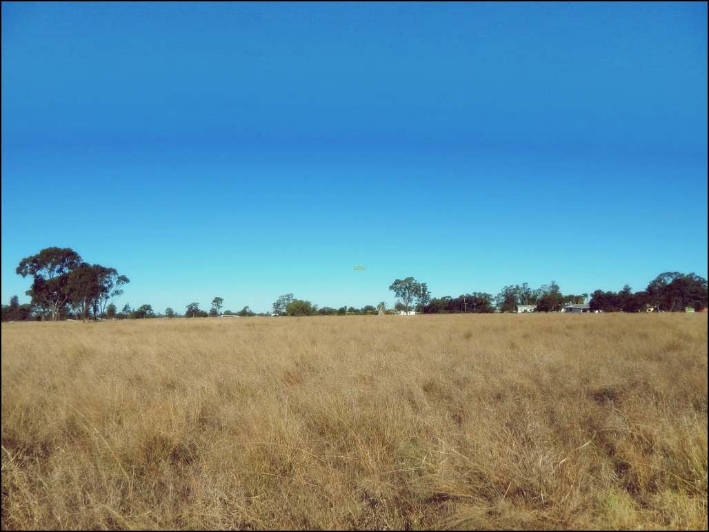 Rodney Road, MILLMERRAN For Sale by Farmbuy.com - image 6
