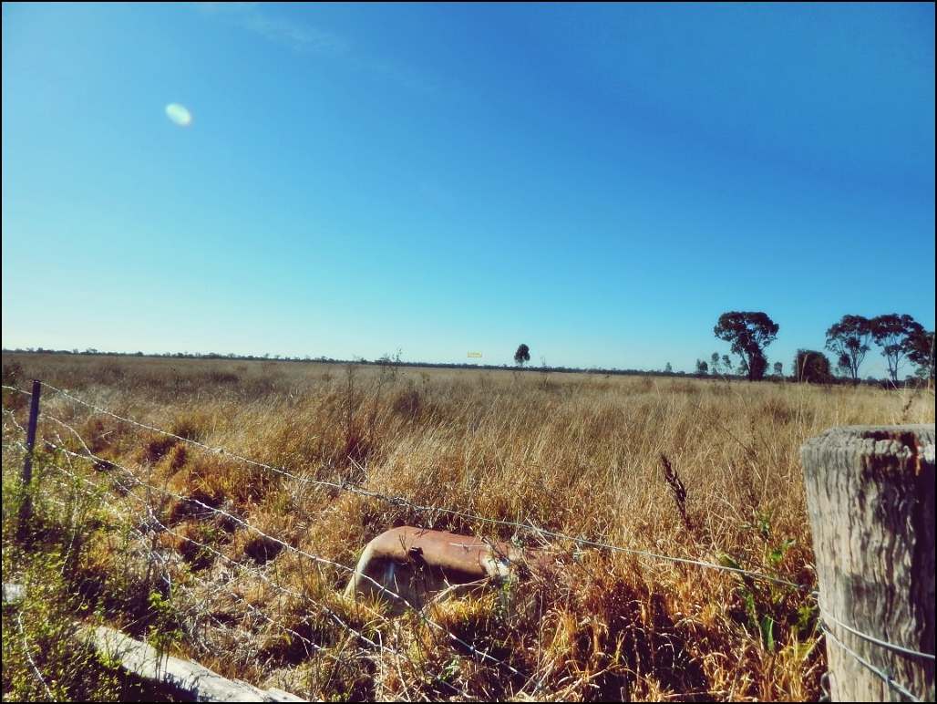 Rodney Road, MILLMERRAN For Sale by Farmbuy.com - image 5