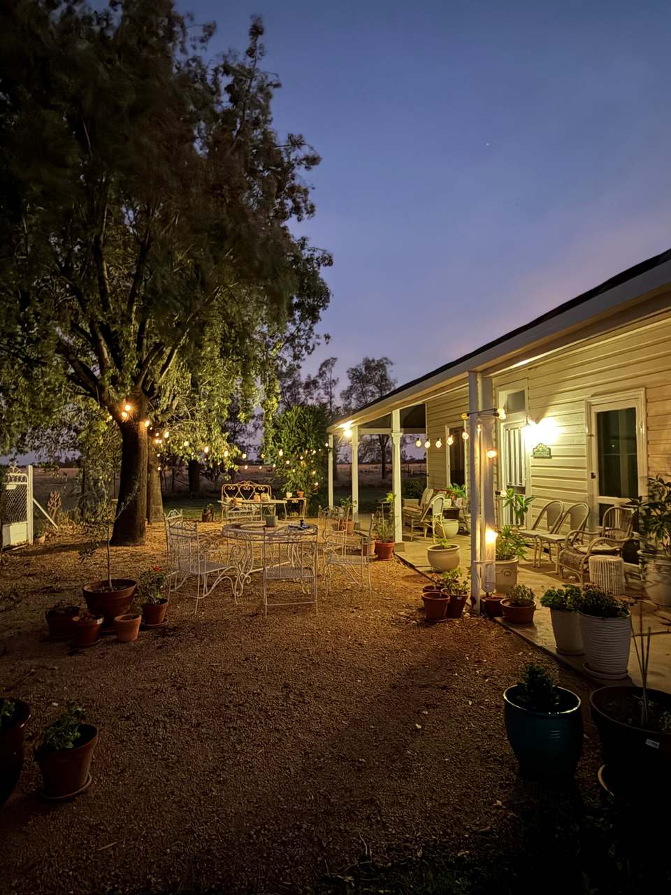 GILGANDRA Auction by Farmbuy.com - image 2
