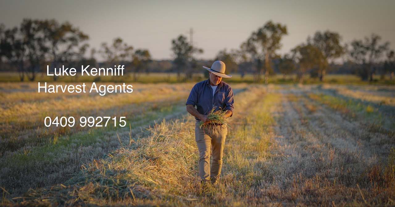 256 Bald Hill Road, Narrabri For Sale by Farmbuy.com - image 15