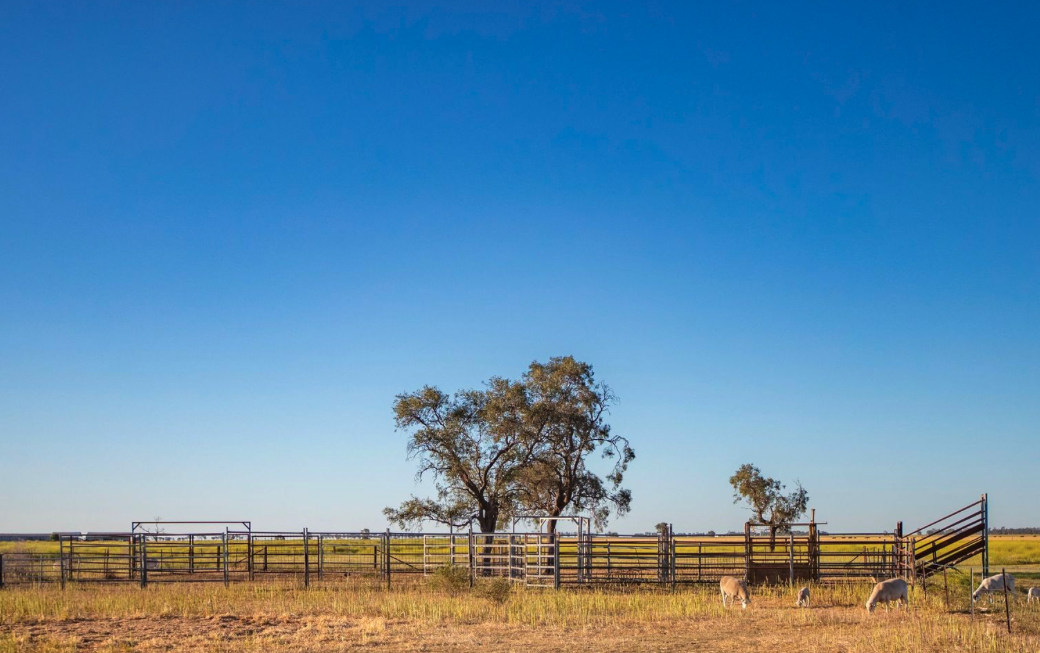256 Bald Hill Road, Narrabri For Sale by Farmbuy.com - image 11