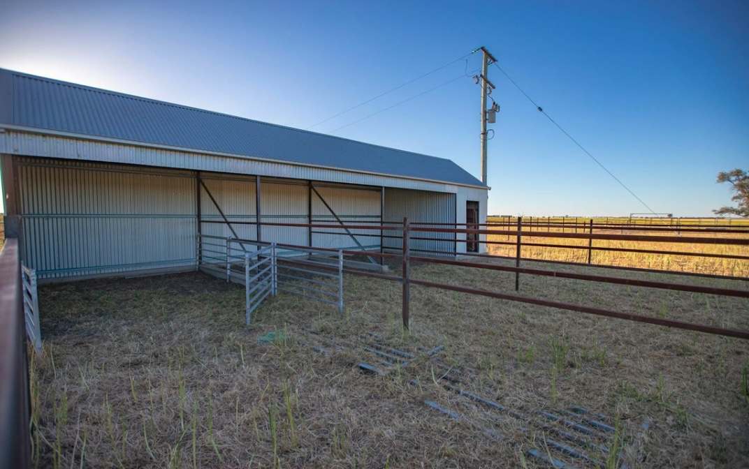 256 Bald Hill Road, Narrabri For Sale by Farmbuy.com - image 9
