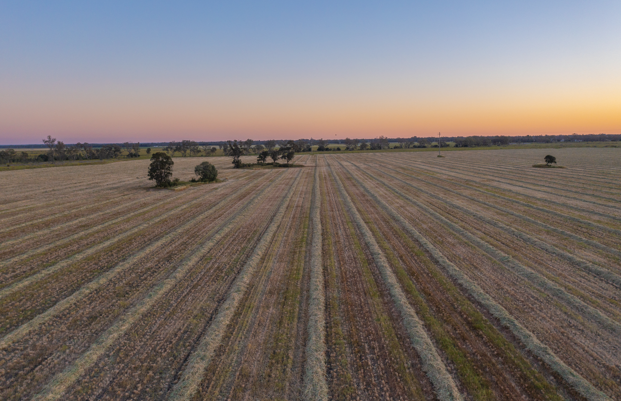 256 Bald Hill Road, Narrabri For Sale by Farmbuy.com - image 13