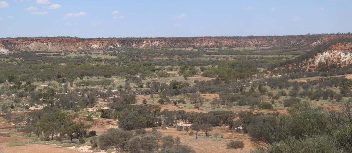 Flodden Hills, Windorah Auction by Farmbuy.com - image 9
