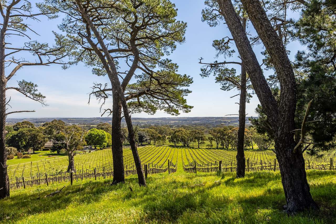 28 Elliott Road, The Range For Sale by Farmbuy.com - image 17