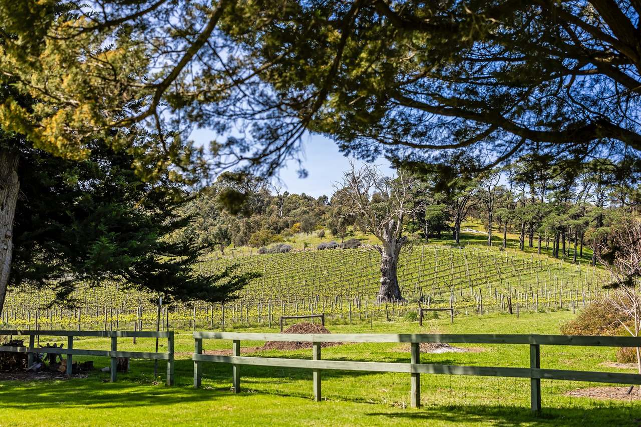 28 Elliott Road, The Range For Sale by Farmbuy.com - image 16