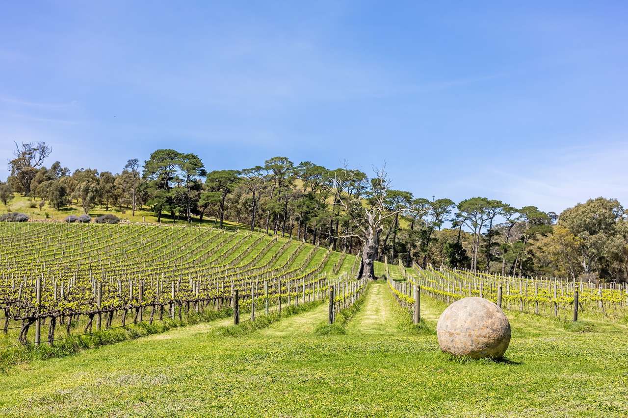 28 Elliott Road, The Range For Sale by Farmbuy.com - image 14