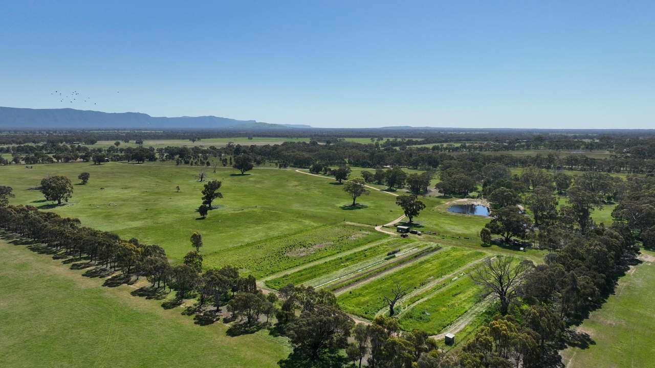 33 Bellellen Saleyards Road, Bellellen For Sale by Farmbuy.com - image 3