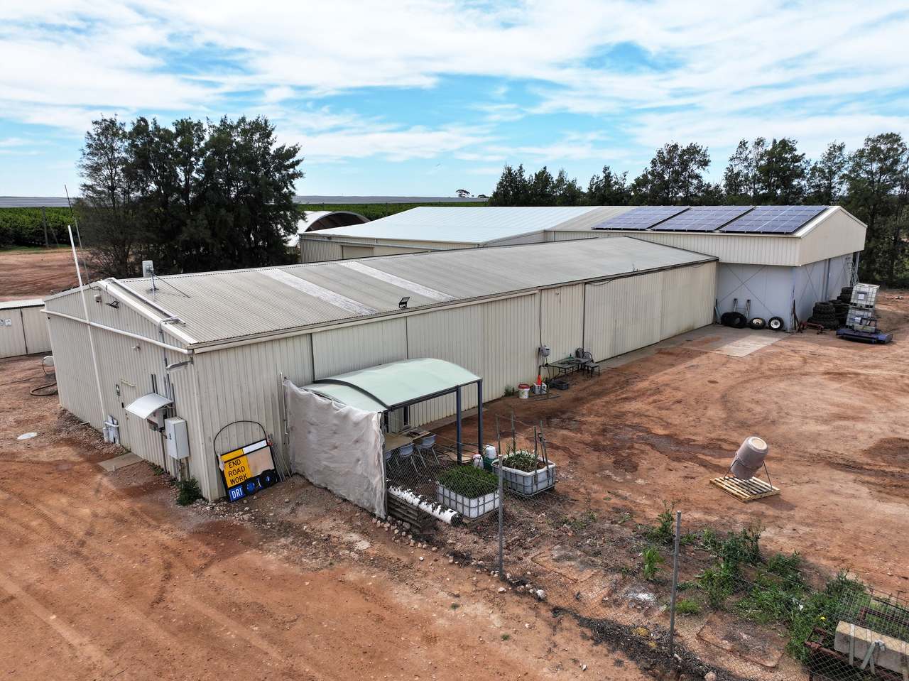 Treviso, Sunraysia For Sale by Farmbuy.com - image 13