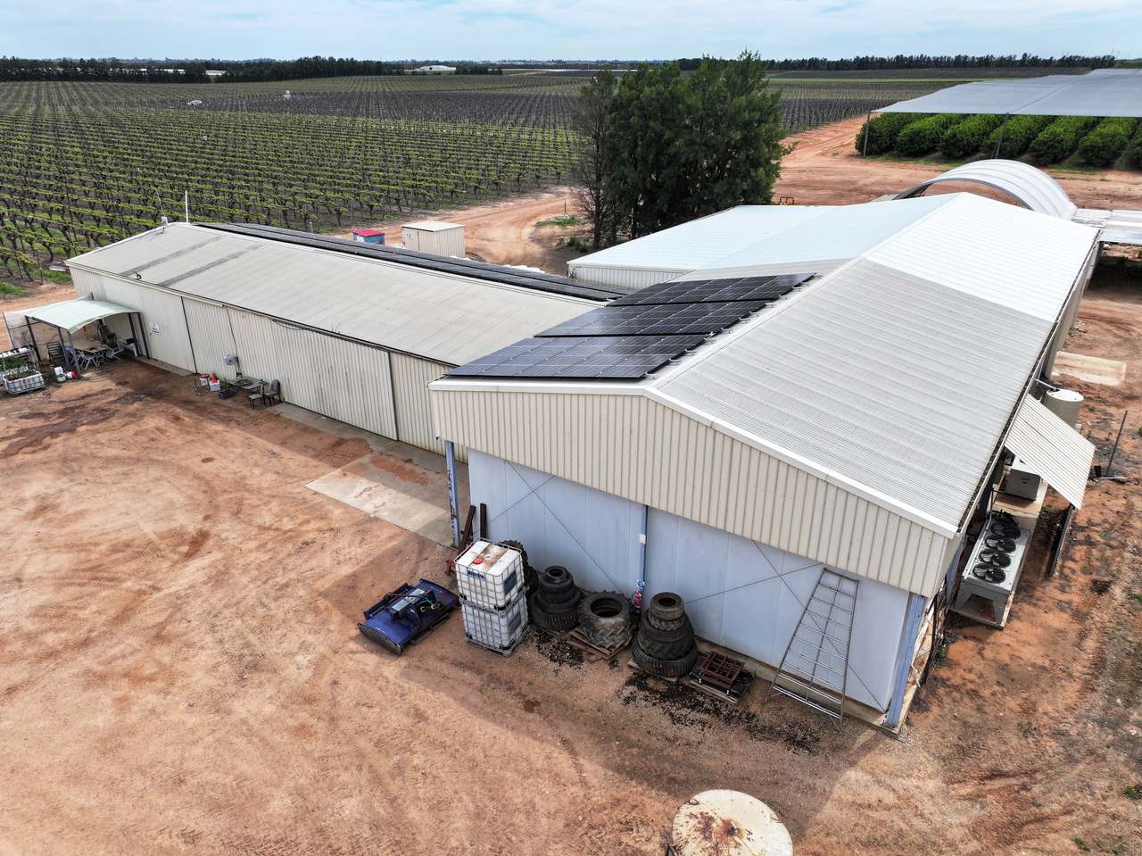 Treviso, Sunraysia For Sale by Farmbuy.com - image 14