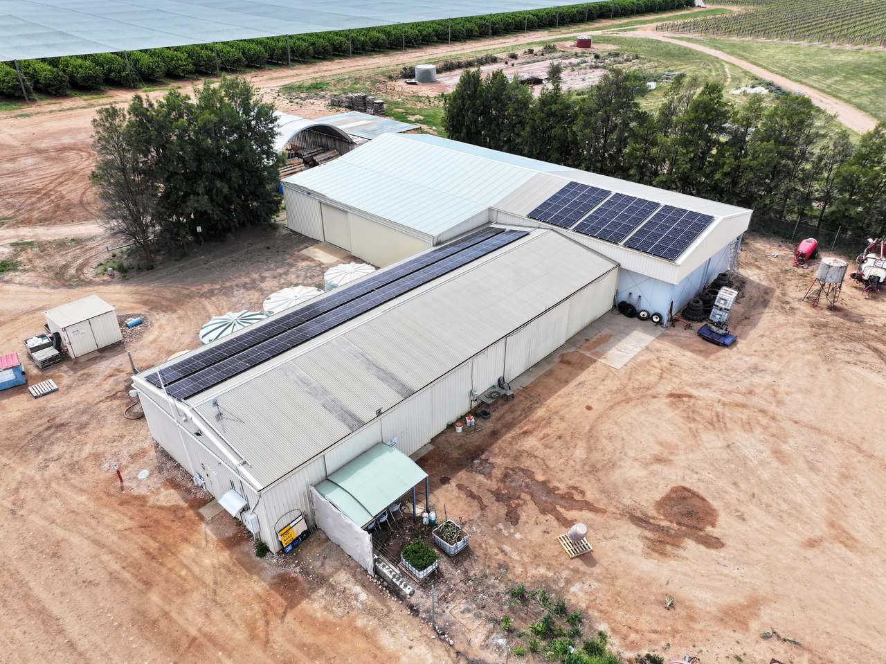 Treviso, Sunraysia For Sale by Farmbuy.com - image 10