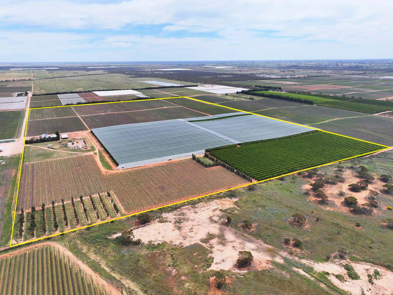 Treviso, Sunraysia For Sale by Farmbuy.com - image 32