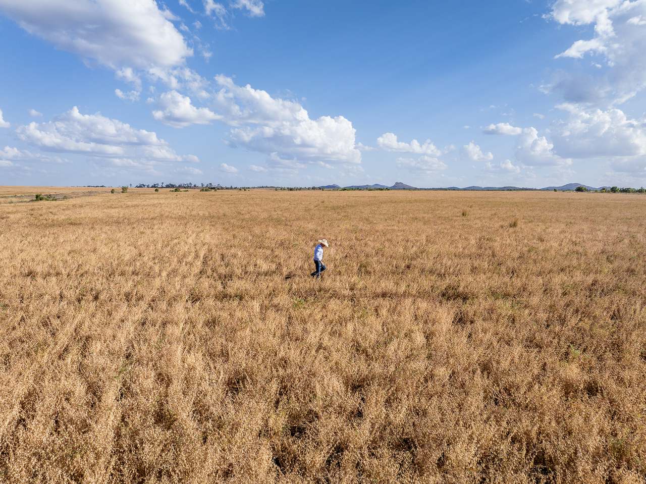 5240 Peak Downs Highway, Gemini Mountains For Sale by Farmbuy.com - image 16
