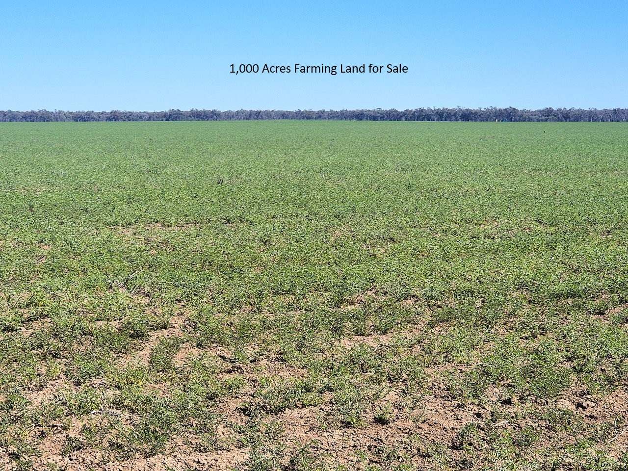 5358 Mercadool Road,  Collarenebri For Sale by Farmbuy.com - image 1