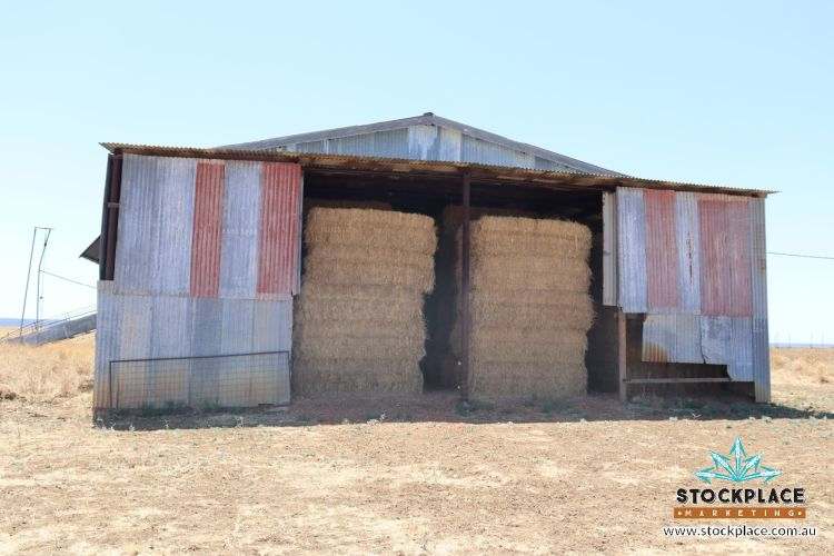 Zara Station, Hughenden Auction by Farmbuy.com - image 27