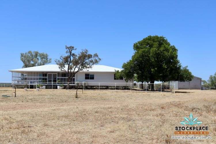 Zara Station, Hughenden Auction by Farmbuy.com - image 4
