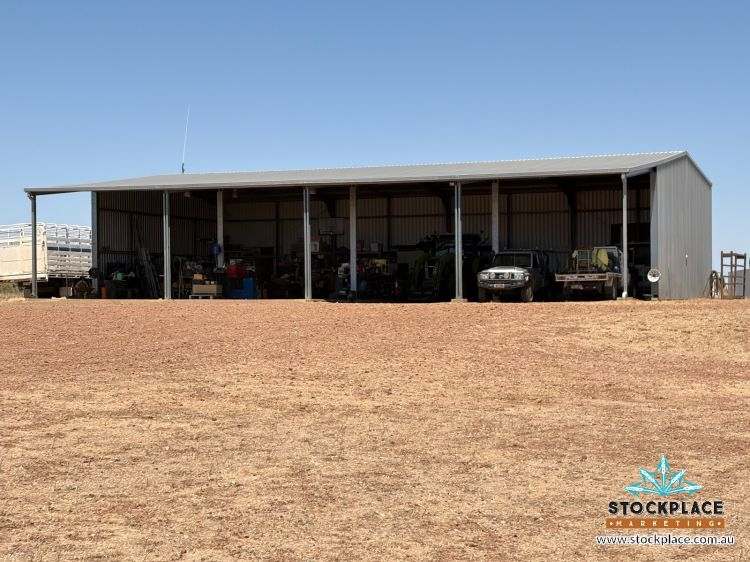 Zara Station, Hughenden Auction by Farmbuy.com - image 21