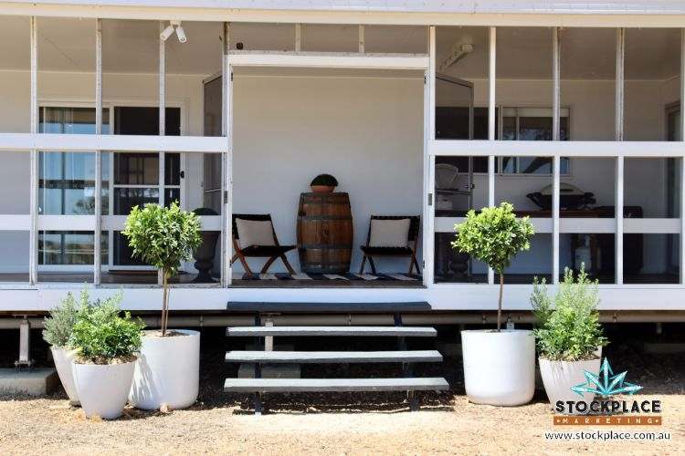 Zara Station, Hughenden Auction by Farmbuy.com - image 20