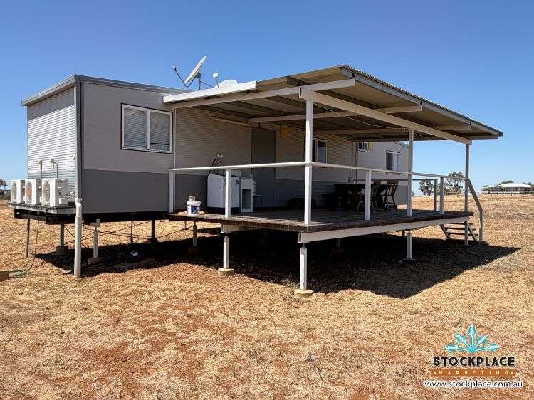 Zara Station, Hughenden Auction by Farmbuy.com - image 22