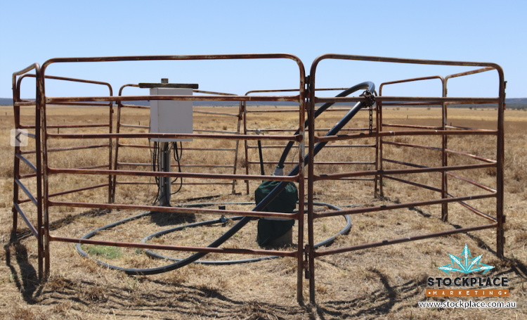 Zara Station, Hughenden Auction by Farmbuy.com - image 13