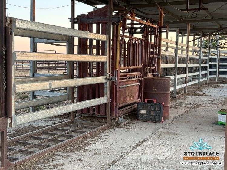 Zara Station, Hughenden Auction by Farmbuy.com - image 25
