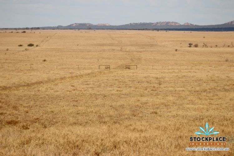 Zara Station, Hughenden Auction by Farmbuy.com - image 2