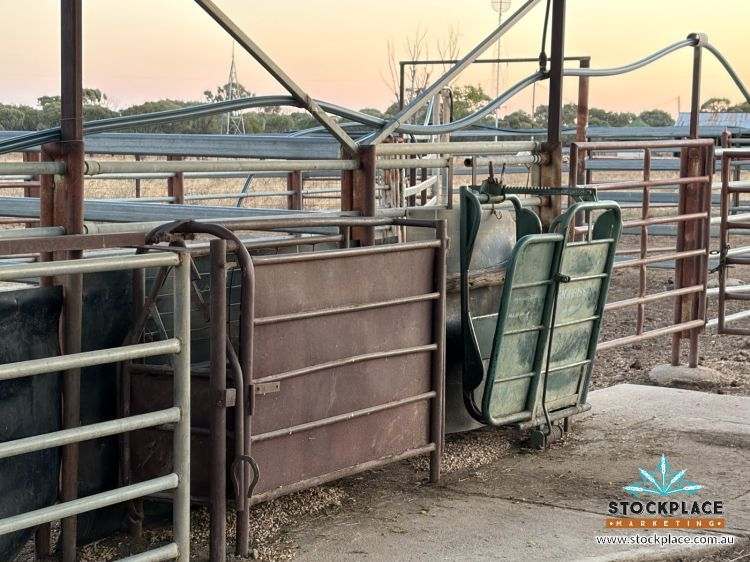 Zara Station, Hughenden Auction by Farmbuy.com - image 26