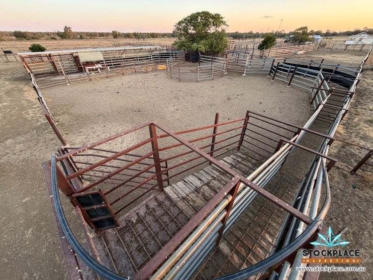 Zara Station, Hughenden Auction by Farmbuy.com - image 24