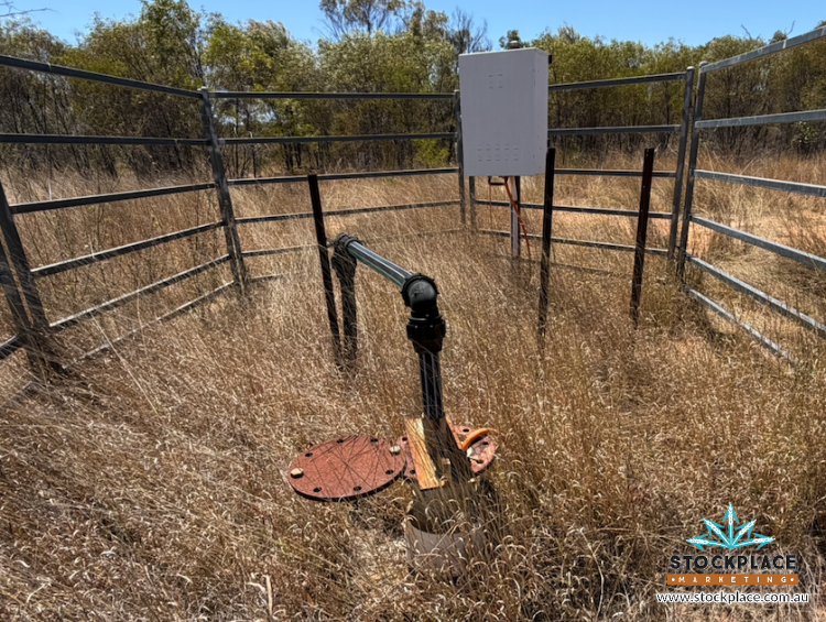 Strathelen & Rellum Park , Torrens Creek Auction by Farmbuy.com - image 13