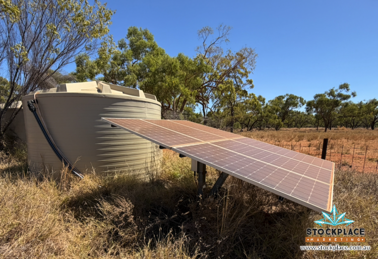 Strathelen & Rellum Park , Torrens Creek Auction by Farmbuy.com - image 10