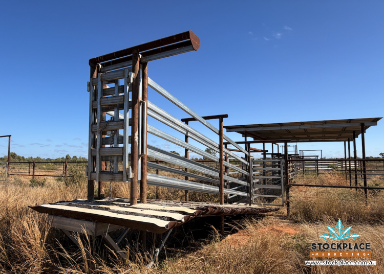 Strathelen & Rellum Park , Torrens Creek Auction by Farmbuy.com - image 30