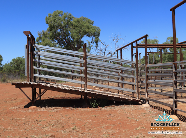 Strathelen & Rellum Park , Torrens Creek Auction by Farmbuy.com - image 35