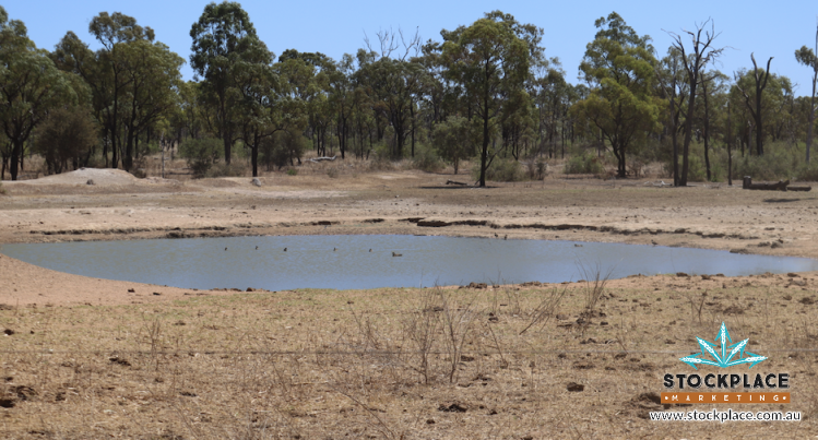 Strathelen & Rellum Park , Torrens Creek Auction by Farmbuy.com - image 15