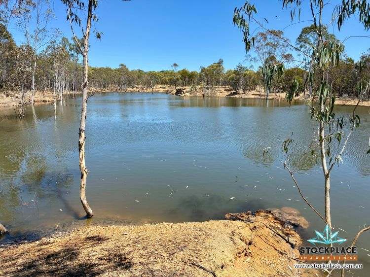 Strathelen & Rellum Park , Torrens Creek Auction by Farmbuy.com - image 14