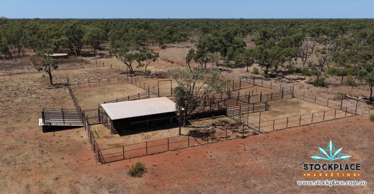 Strathelen & Rellum Park , Torrens Creek Auction by Farmbuy.com - image 8