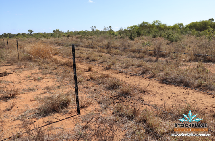 Strathelen & Rellum Park , Torrens Creek Auction by Farmbuy.com - image 24