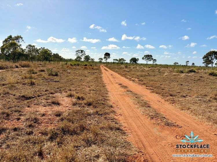 Strathelen & Rellum Park , Torrens Creek Auction by Farmbuy.com - image 22