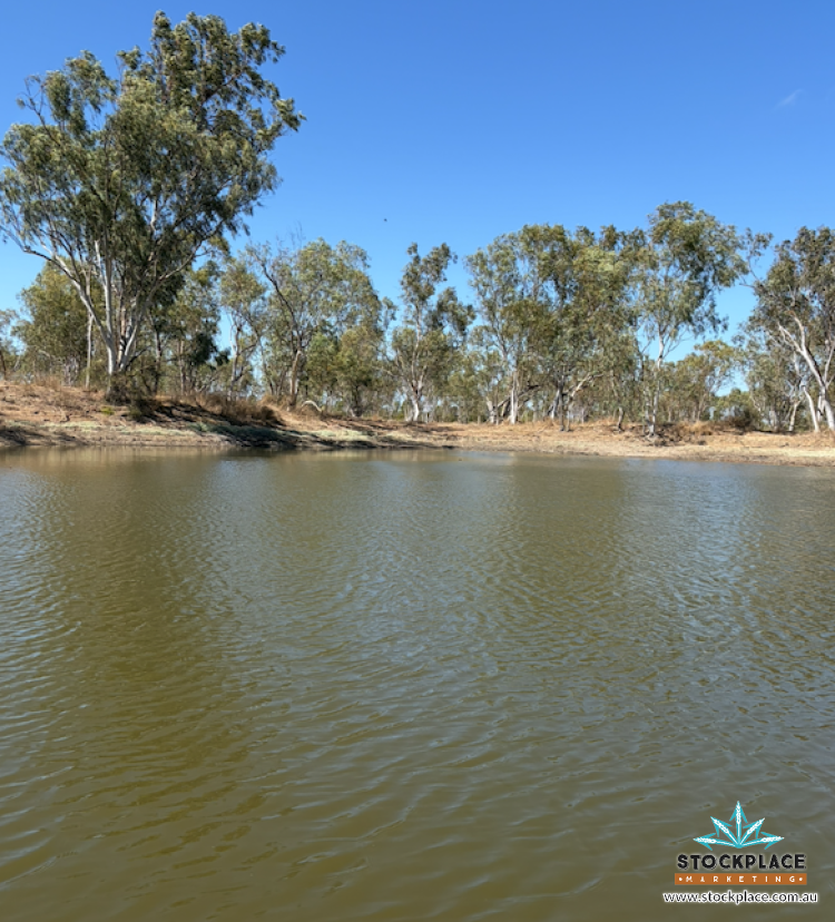 Strathelen & Rellum Park , Torrens Creek Auction by Farmbuy.com - image 17