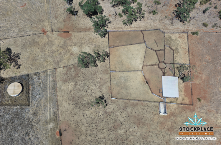 Strathelen & Rellum Park , Torrens Creek Auction by Farmbuy.com - image 33