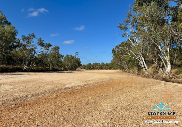 Strathelen & Rellum Park , Torrens Creek Auction by Farmbuy.com - image 21