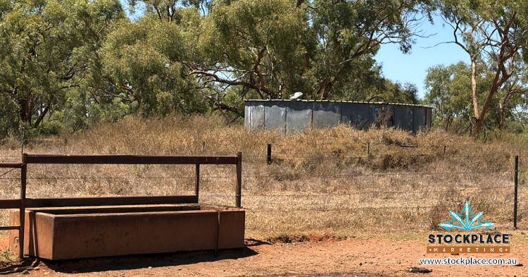 Strathelen & Rellum Park , Torrens Creek Auction by Farmbuy.com - image 7