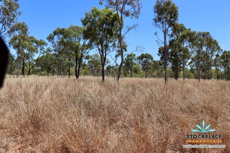 Strathelen & Rellum Park , Torrens Creek Auction by Farmbuy.com - image 12