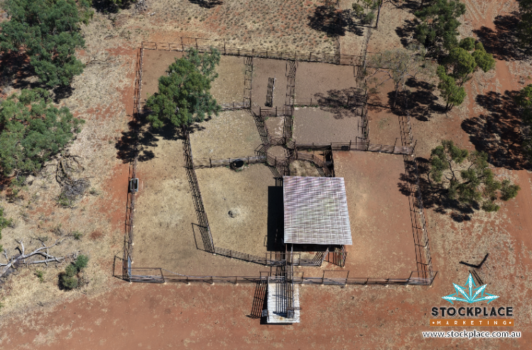 Strathelen & Rellum Park , Torrens Creek Auction by Farmbuy.com - image 3