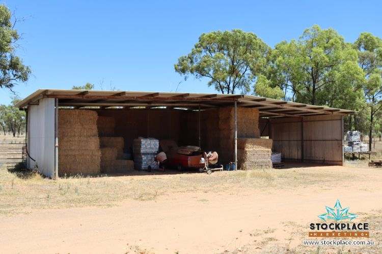 Strathelen & Rellum Park , Torrens Creek Auction by Farmbuy.com - image 38